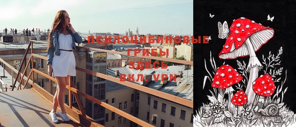 mix Горнозаводск