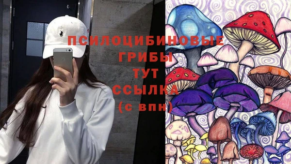 хмурый Вяземский